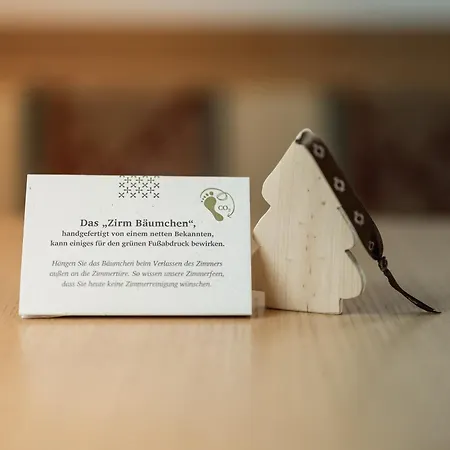 Hotel Tonzhaus 4*